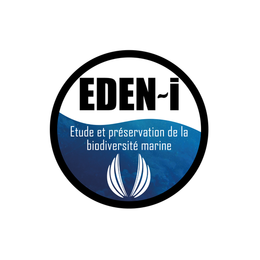 Edeni - Catch & Release